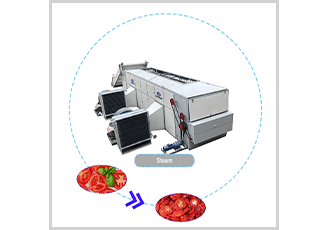 tomato dryer/drying machine